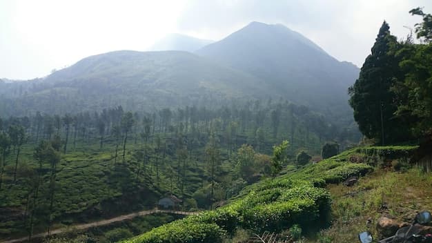 Kerala Solo Backpacker