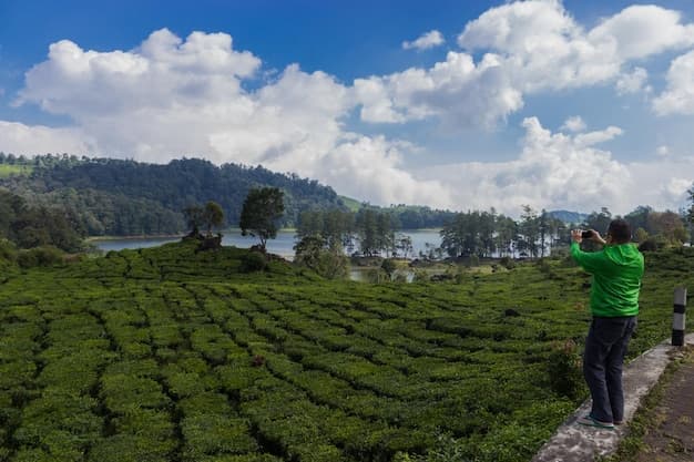 Kerala Honeymoon Special