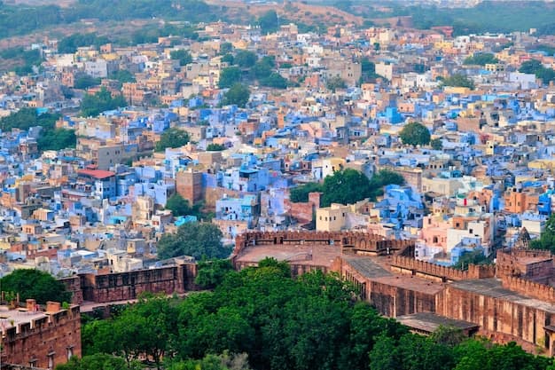 Rajasthan Family Fun Package - Image 3