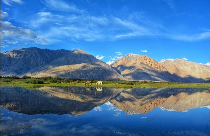 Exploring the Blue Diamonds of Ladakh: A Guide to Pangong Tso and Tso Moriri