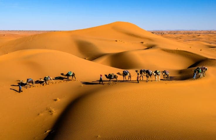 Desert Sands and City Lights: Navigating Dubai's Diverse Landscape